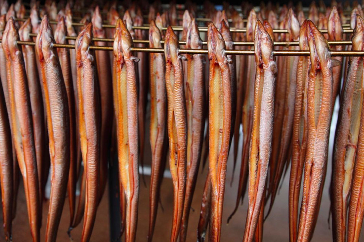 Paling rookton kopen