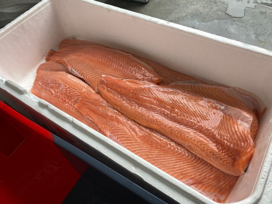 Zalmfilet die na het spoelen ligt te drogen