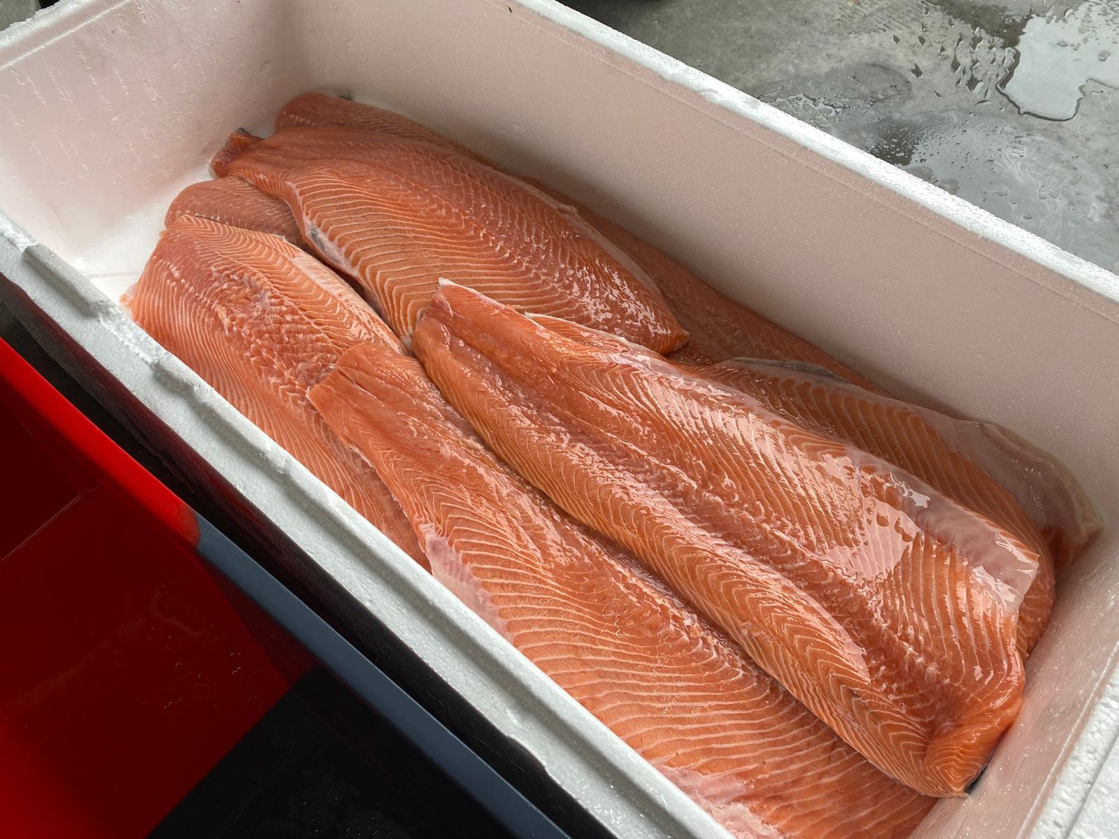 Zalm voorbereiden: graten verwijderen, portioneren en de staartkant